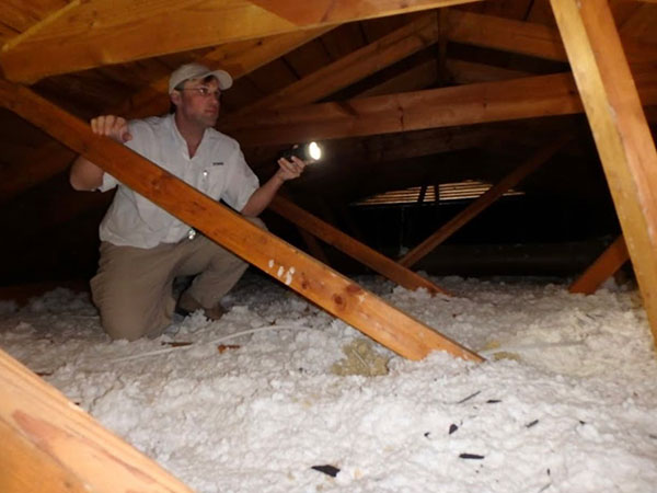 64762-1 attic home inspection