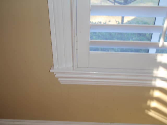 OLYMPUS DIGITAL CAMERA infrared inspection bedroom