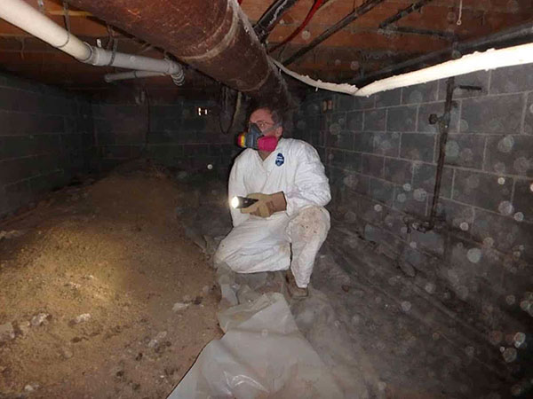 action-shot-2 under house home inspection